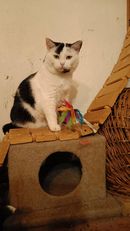 Rozkoška s mávátkem 2.jpg